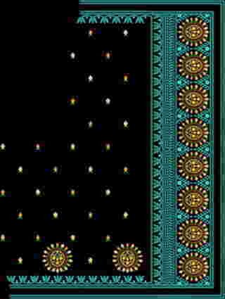 C Pallu Saree Design