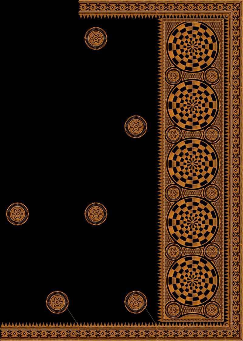 Box Pallu Saree Design