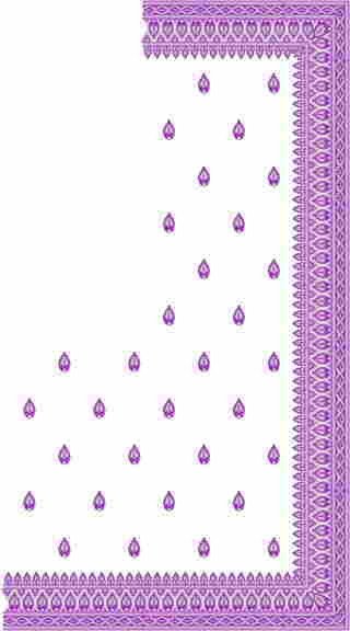 C Pallu Saree Design