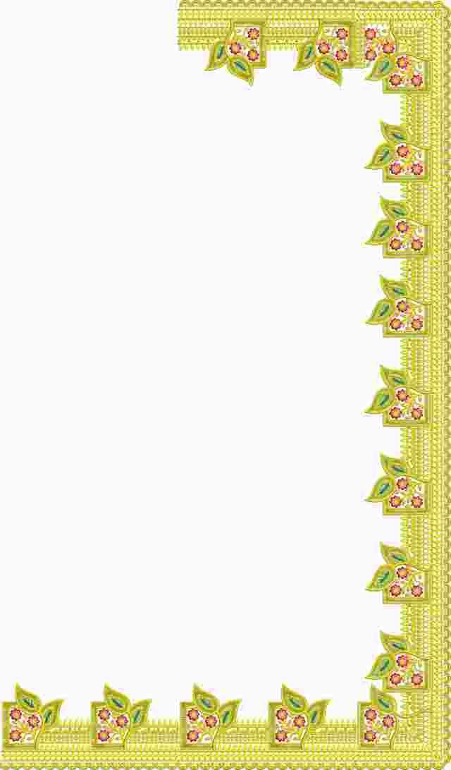 C Pallu Saree Design