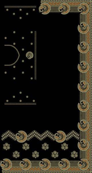 C Pallu Saree Design