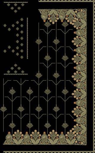 C Pallu Saree Design
