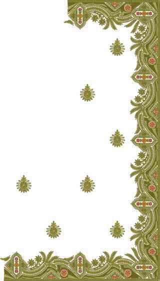 C Pallu Saree Design