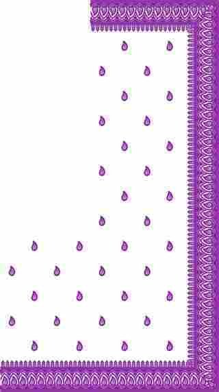 C Pallu Saree Design