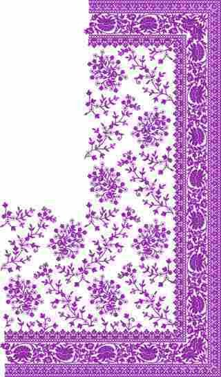 C Pallu Saree Design