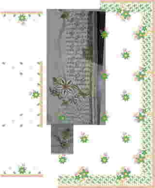 C Pallu Saree Design