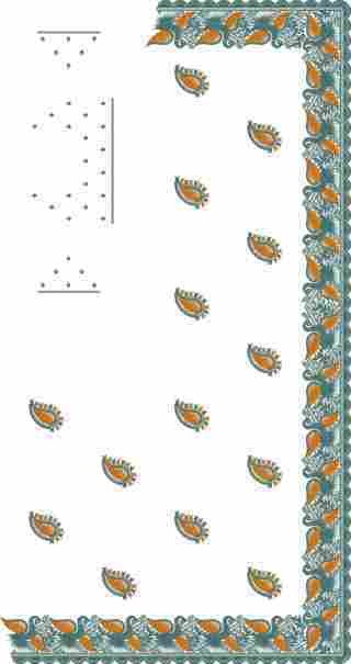 C Pallu Saree Design