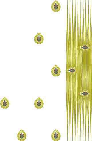 C Pallu Saree Design