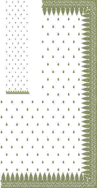 C Pallu Saree Design