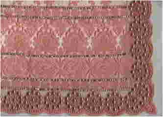 C Pallu Saree Design