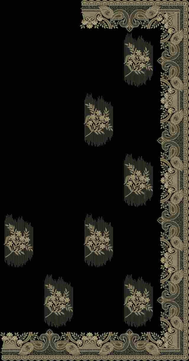 C Pallu Saree Design