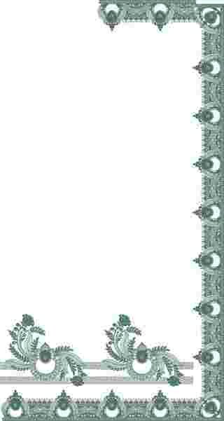 C Pallu Saree Design