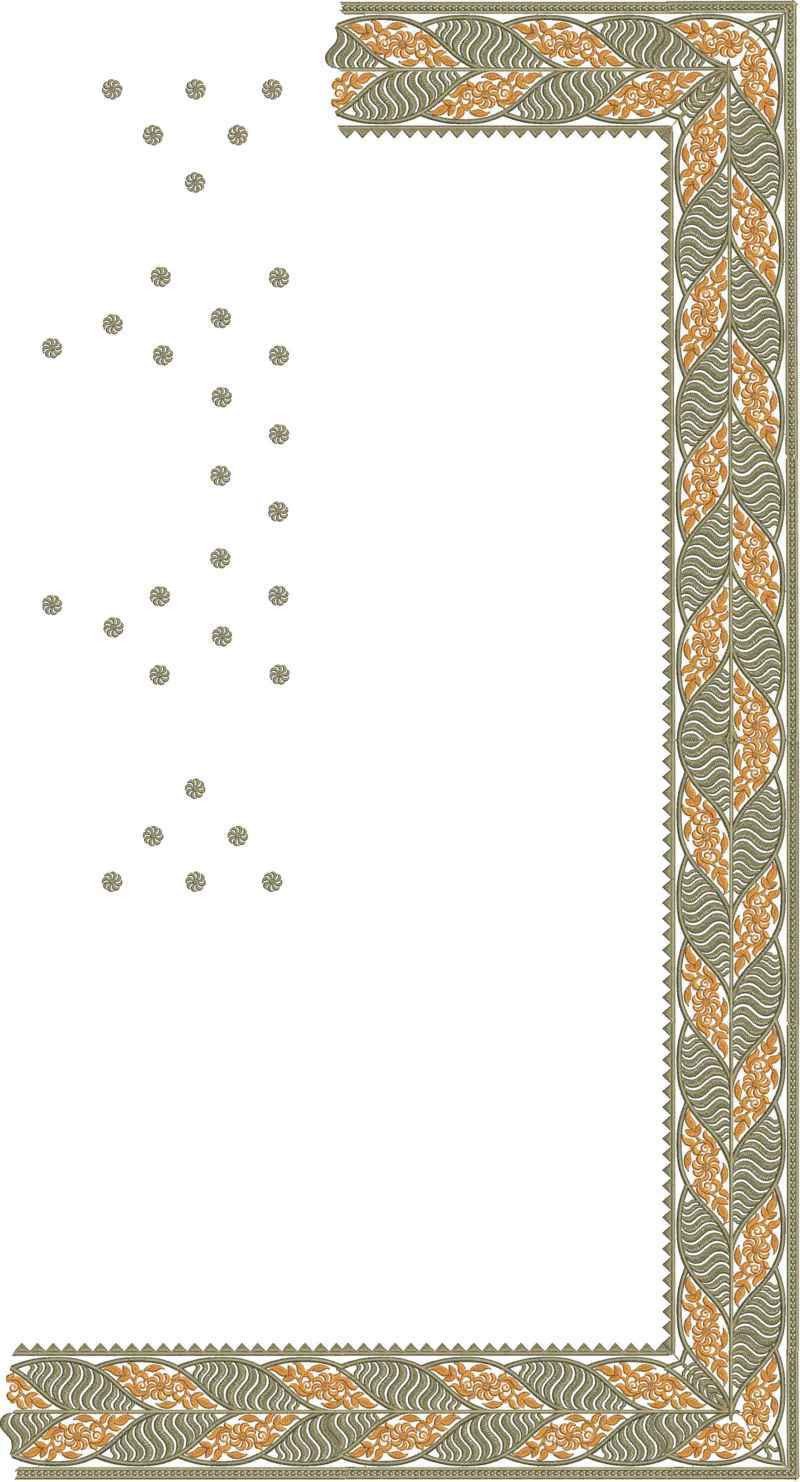 C Pallu Saree Design