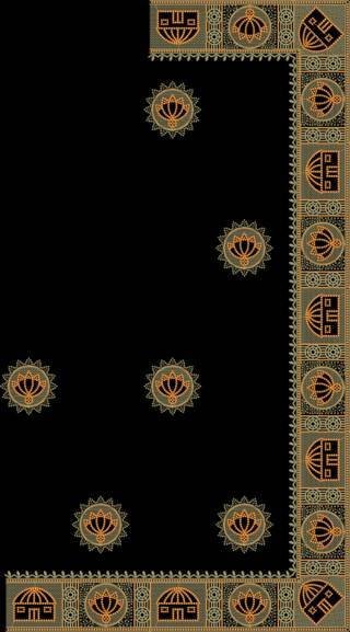 C Pallu Saree Design
