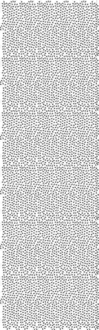 5MM Sequence AllOver Design