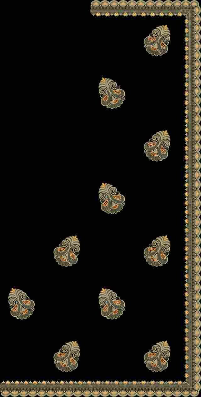 C Pallu Saree Design