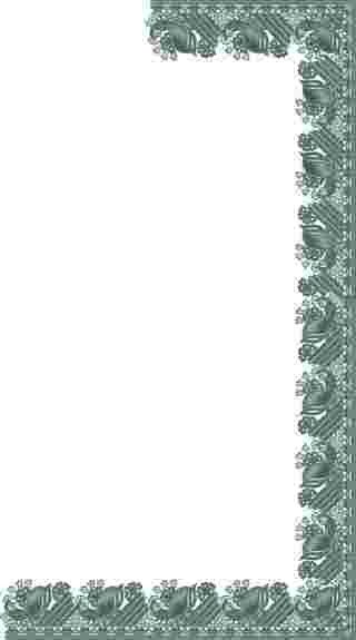 C Pallu Saree Design