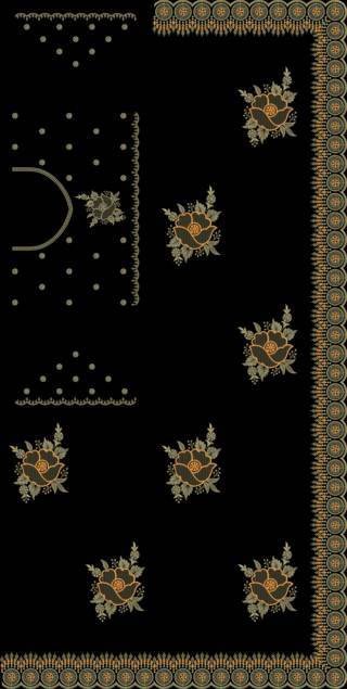 C Pallu Saree Design