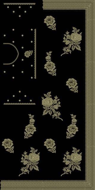 C Pallu Saree Design