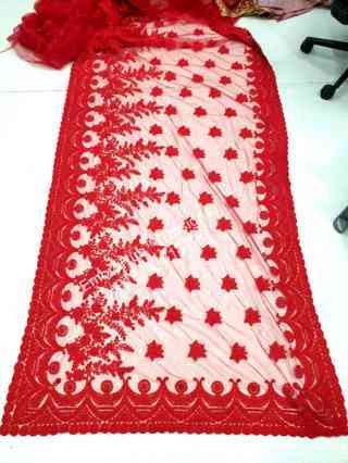 C Pallu Saree Design