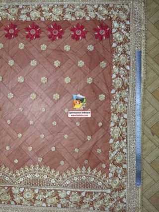 C Pallu Saree Design