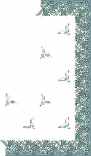 C Pallu Saree Design