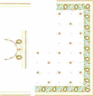 C Pallu Saree Design