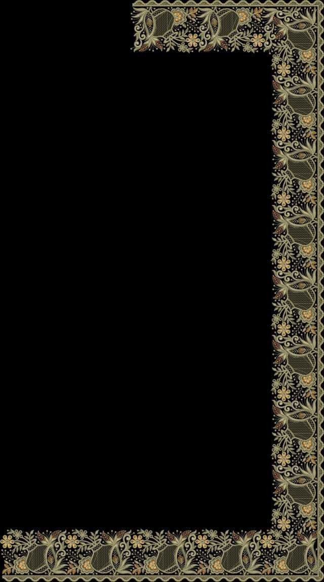 C Pallu Saree Design