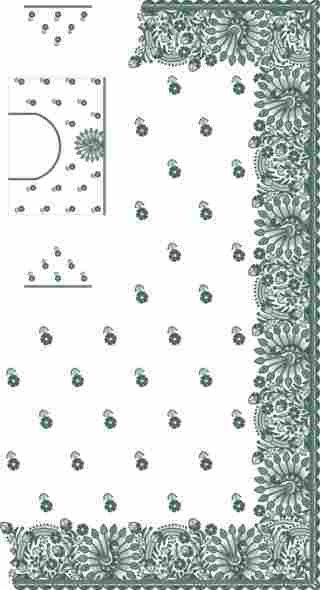 C Pallu Saree Design