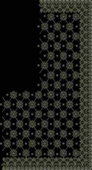 C Pallu Saree Design